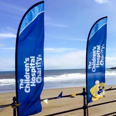 feather flags flying on a beach