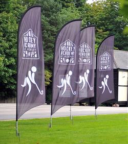 feather flags on display at a hockey match